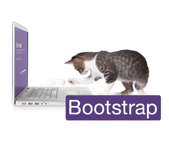 FAT CATZ premium website template