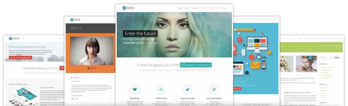 Hideo Premium Website template